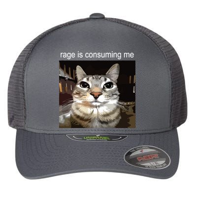 Rage Is Consuming Me Silly Staring Cat Meme Flexfit Unipanel Trucker Cap