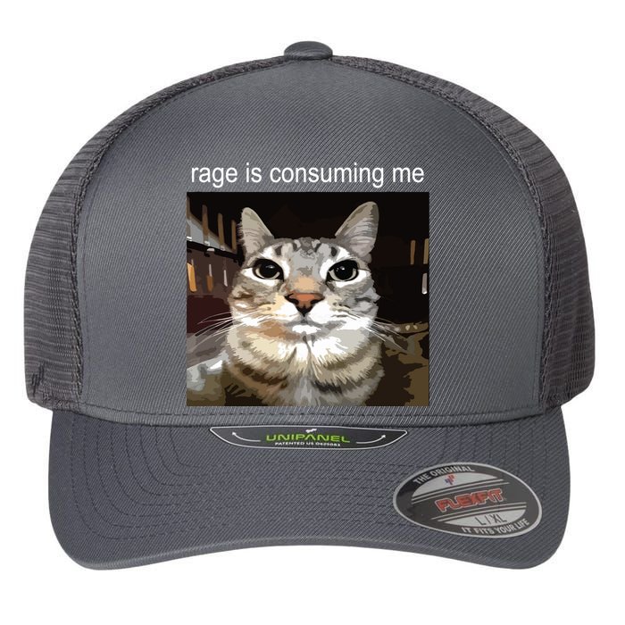 Rage Is Consuming Me Silly Staring Cat Meme Flexfit Unipanel Trucker Cap