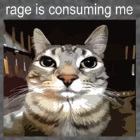 Rage Is Consuming Me Silly Staring Cat Meme Flexfit Unipanel Trucker Cap