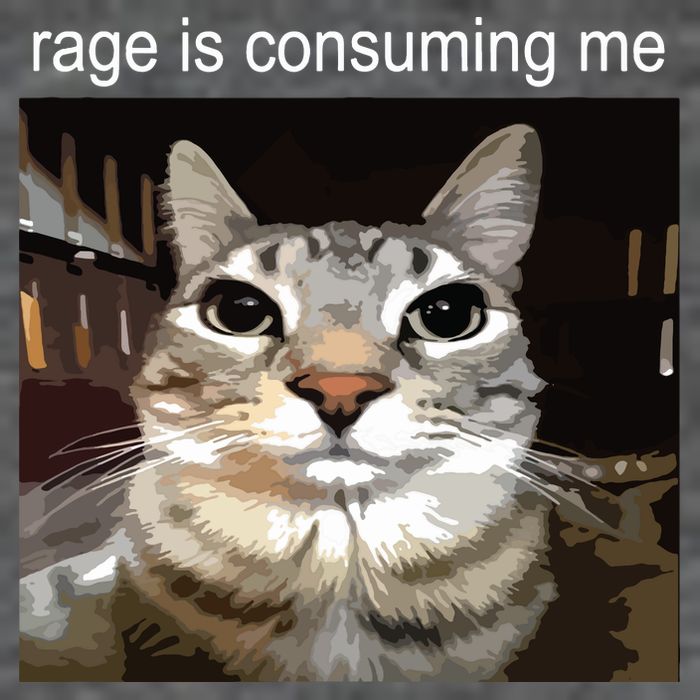 Rage Is Consuming Me Silly Staring Cat Meme Flexfit Unipanel Trucker Cap