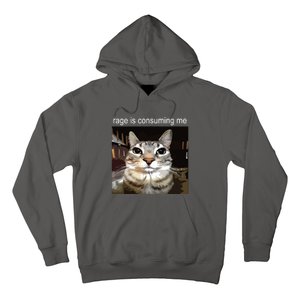 Rage Is Consuming Me Silly Staring Cat Meme Hoodie