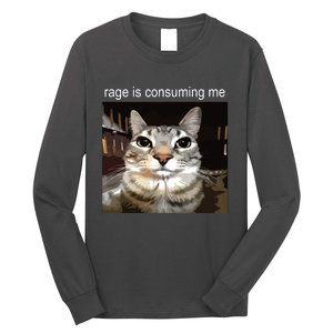 Rage Is Consuming Me Silly Staring Cat Meme Long Sleeve Shirt