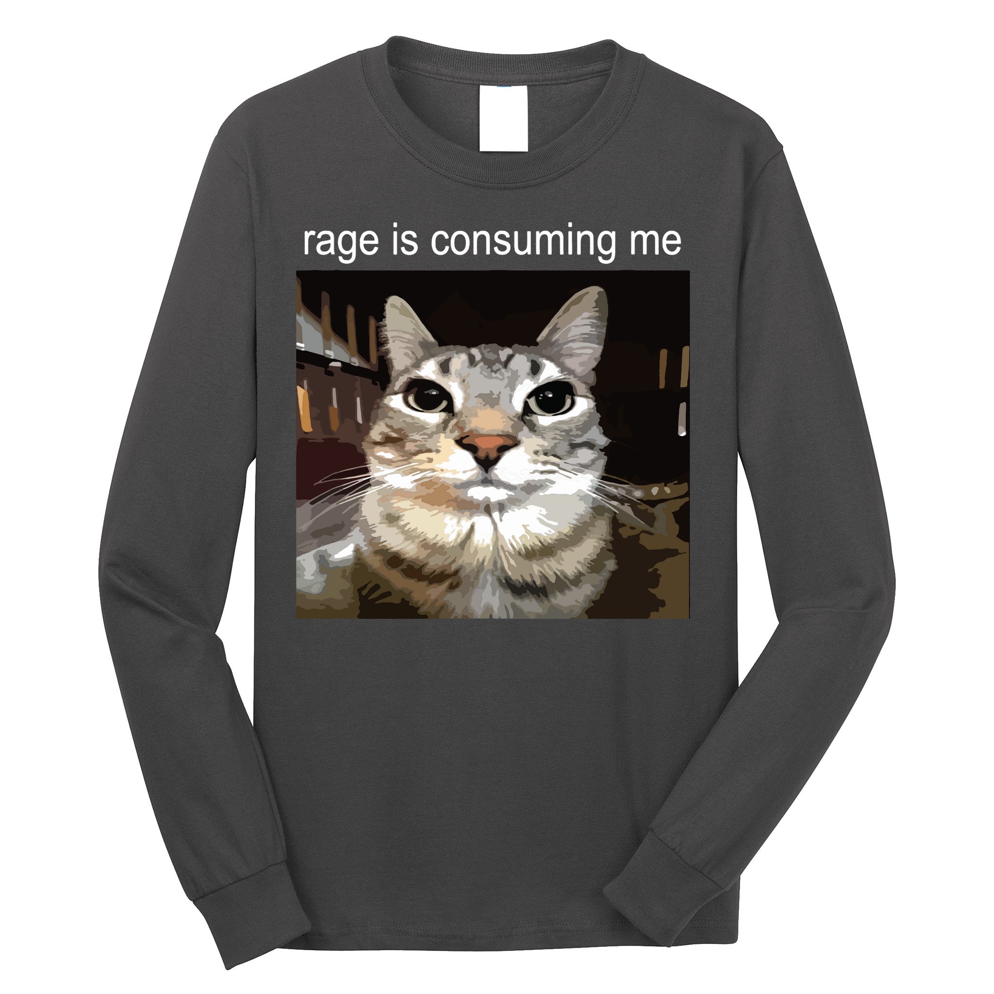 Rage Is Consuming Me Silly Staring Cat Meme Long Sleeve Shirt