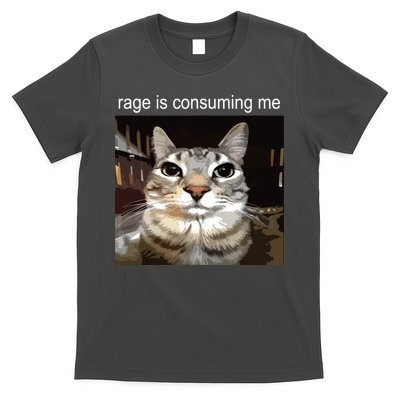 Rage Is Consuming Me Silly Staring Cat Meme T-Shirt