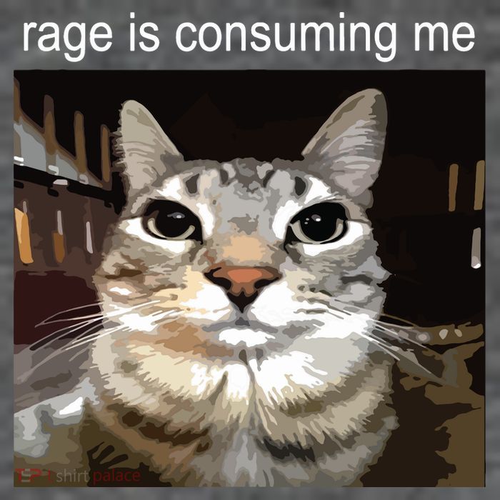 Rage Is Consuming Me Silly Staring Cat Meme T-Shirt
