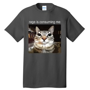 Rage Is Consuming Me Silly Staring Cat Meme Tall T-Shirt