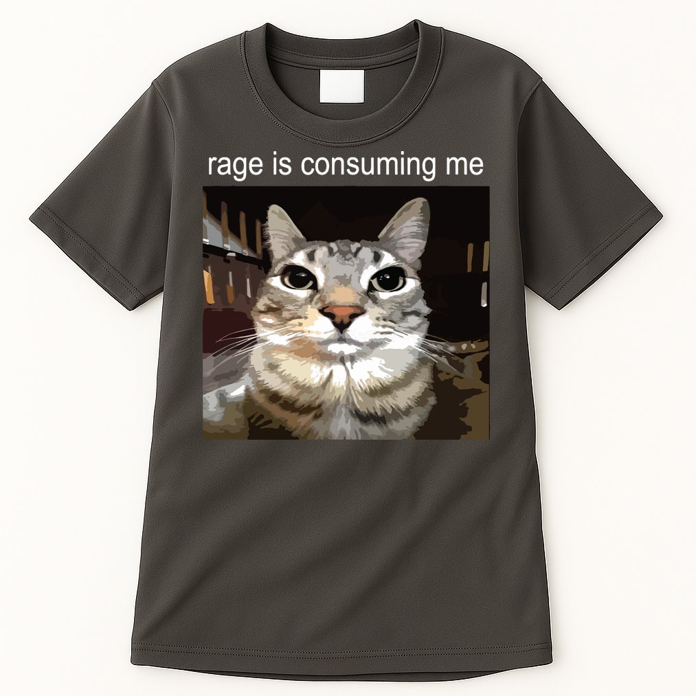 Rage Is Consuming Me Silly Staring Cat Meme Tall T-Shirt