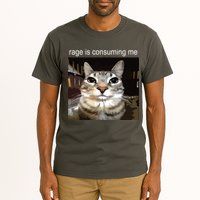 Rage Is Consuming Me Silly Staring Cat Meme Tall T-Shirt