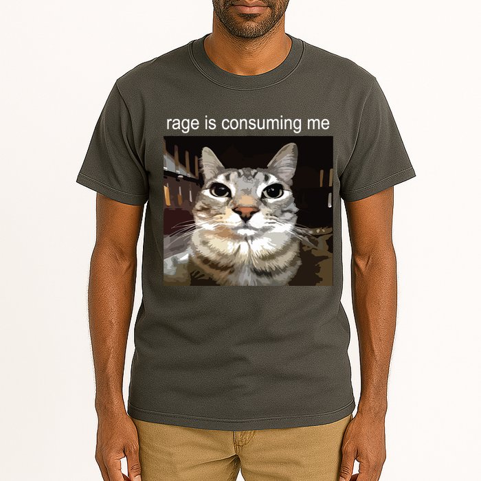 Rage Is Consuming Me Silly Staring Cat Meme Tall T-Shirt