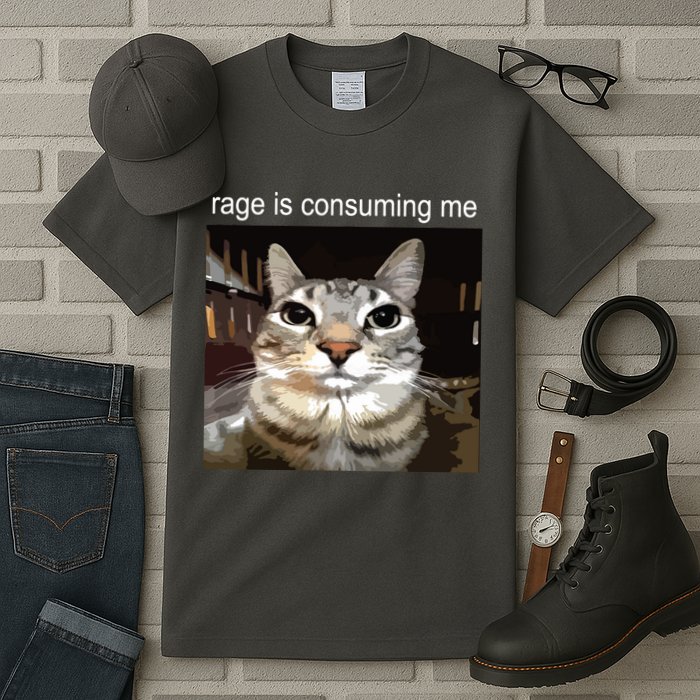 Rage Is Consuming Me Silly Staring Cat Meme Tall T-Shirt