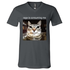 Rage Is Consuming Me Silly Staring Cat Meme V-Neck T-Shirt