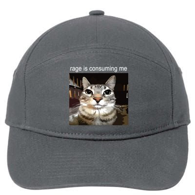 Rage Is Consuming Me Silly Staring Cat Meme 7-Panel Snapback Hat