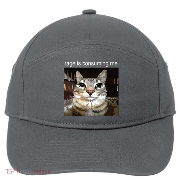 Rage Is Consuming Me Silly Staring Cat Meme 7-Panel Snapback Hat