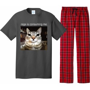 Rage Is Consuming Me Silly Staring Cat Meme Pajama Set