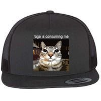 Rage Is Consuming Me Silly Staring Cat Meme Flat Bill Trucker Hat