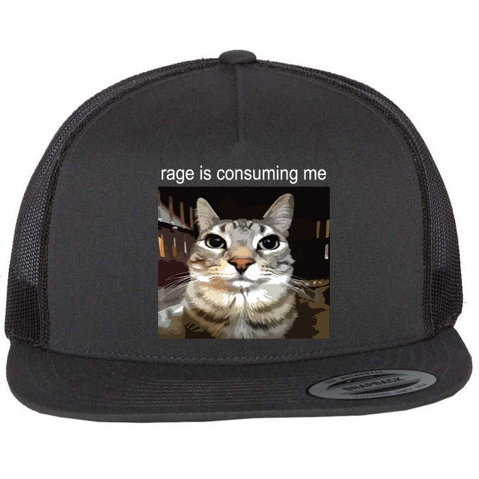 Rage Is Consuming Me Silly Staring Cat Meme Flat Bill Trucker Hat