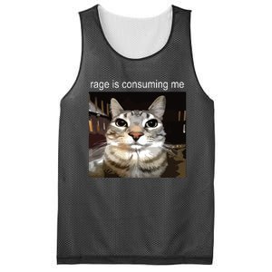 Rage Is Consuming Me Silly Staring Cat Meme Mesh Reversible Basketball Jersey Tank