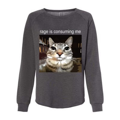 Rage Is Consuming Me Silly Staring Cat Meme Womens California Wash Sweatshirt