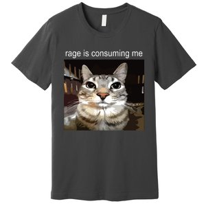 Rage Is Consuming Me Silly Staring Cat Meme Premium T-Shirt