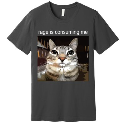 Rage Is Consuming Me Silly Staring Cat Meme Premium T-Shirt