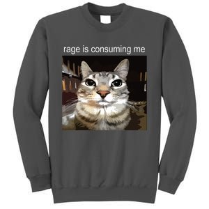 Rage Is Consuming Me Silly Staring Cat Meme Tall Sweatshirt