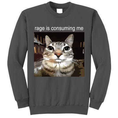 Rage Is Consuming Me Silly Staring Cat Meme Tall Sweatshirt