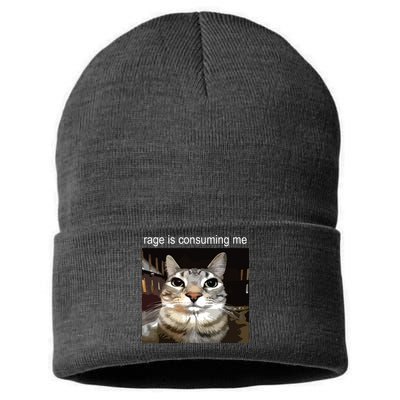 Rage Is Consuming Me Silly Staring Cat Meme Sustainable Knit Beanie
