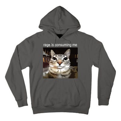 Rage Is Consuming Me Silly Staring Cat Meme Tall Hoodie