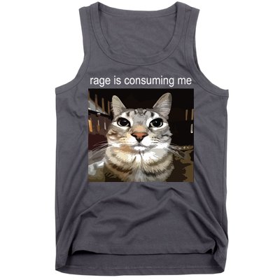 Rage Is Consuming Me Silly Staring Cat Meme Tank Top