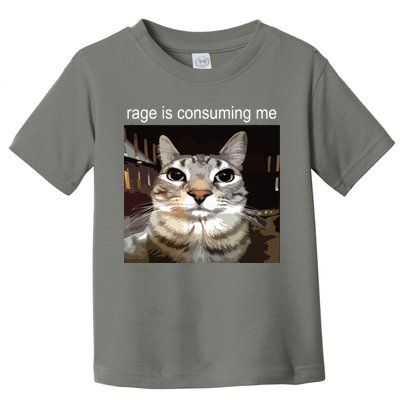 Rage Is Consuming Me Silly Staring Cat Meme Toddler T-Shirt