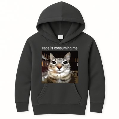 Rage Is Consuming Me Silly Staring Cat Meme Kids Hoodie
