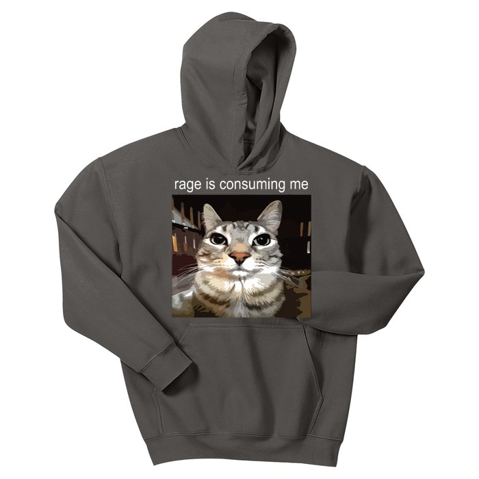 Rage Is Consuming Me Silly Staring Cat Meme Kids Hoodie