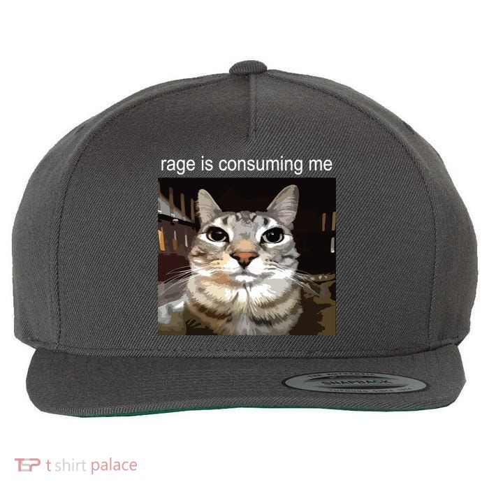 Rage Is Consuming Me Silly Staring Cat Meme Wool Snapback Cap