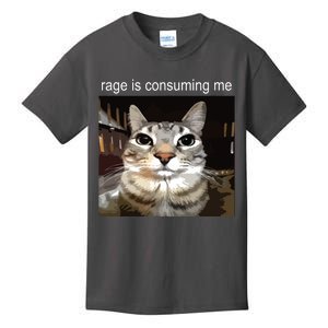 Rage Is Consuming Me Silly Staring Cat Meme Kids T-Shirt