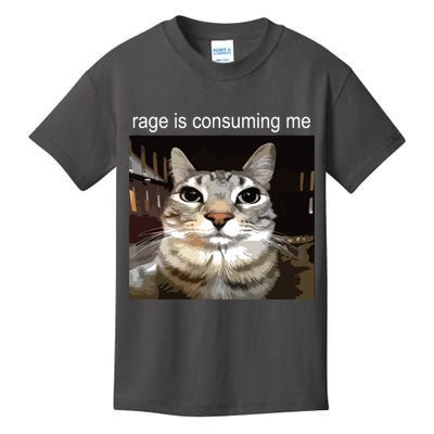 Rage Is Consuming Me Silly Staring Cat Meme Kids T-Shirt
