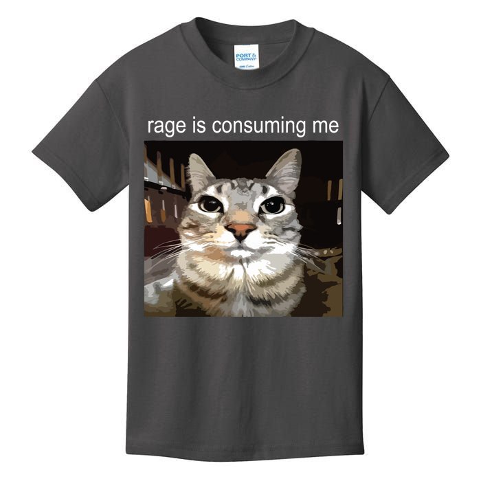 Rage Is Consuming Me Silly Staring Cat Meme Kids T-Shirt