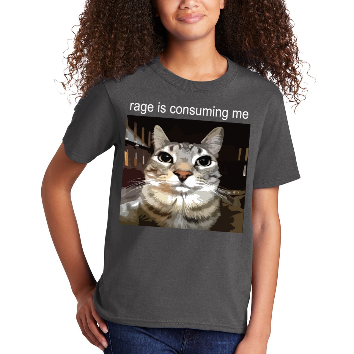 Rage Is Consuming Me Silly Staring Cat Meme Kids T-Shirt
