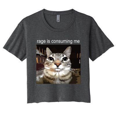 Rage Is Consuming Me Silly Staring Cat Meme Women's Crop Top Tee