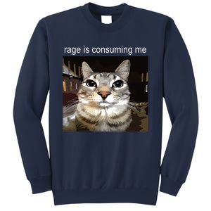 Rage Is Consuming Me Silly Staring Cat Meme Sweatshirt