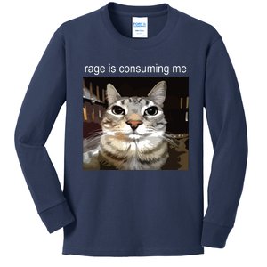 Rage Is Consuming Me Silly Staring Cat Meme Kids Long Sleeve Shirt