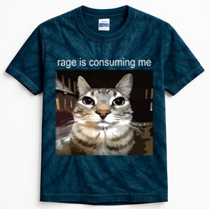 Rage Is Consuming Me Silly Staring Cat Meme Kids Tie-Dye T-Shirt