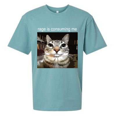 Rage Is Consuming Me Silly Staring Cat Meme Sueded Cloud Jersey T-Shirt
