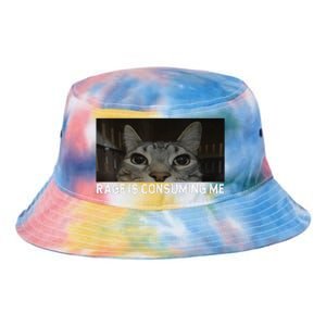 Rage Is Consuming Me Cat Meme Silly Staring Cat Funny Meme Tie Dye Newport Bucket Hat