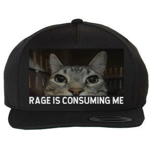 Rage Is Consuming Me Cat Meme Silly Staring Cat Funny Meme Wool Snapback Cap