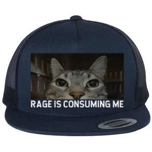 Rage Is Consuming Me Cat Meme Silly Staring Cat Funny Meme Flat Bill Trucker Hat