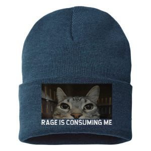 Rage Is Consuming Me Cat Meme Silly Staring Cat Funny Meme Sustainable Knit Beanie