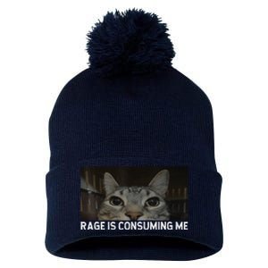 Rage Is Consuming Me Cat Meme Silly Staring Cat Funny Meme Pom Pom 12in Knit Beanie