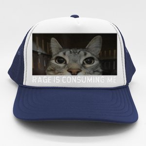 Rage Is Consuming Me Cat Meme Silly Staring Cat Funny Meme Trucker Hat