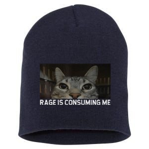 Rage Is Consuming Me Cat Meme Silly Staring Cat Funny Meme Short Acrylic Beanie