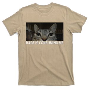 Rage Is Consuming Me Cat Meme Silly Staring Cat Funny Meme T-Shirt